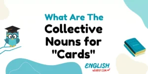 Collective Nouns for "Cards"