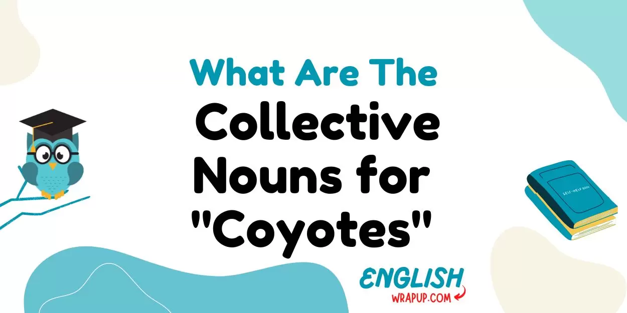 Collective Nouns for "Coyotes"