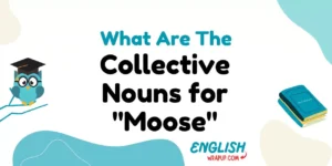 Collective Nouns for "Moose"