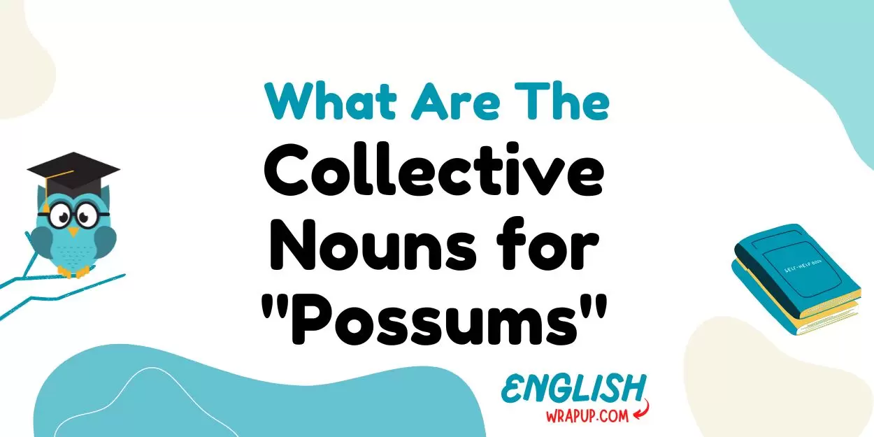 Collective Nouns for "Possums"