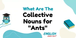 Collective Nouns for "Ants"