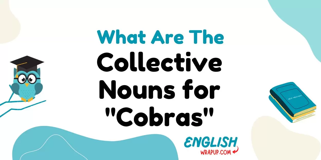 Collective Nouns For "Cobras"