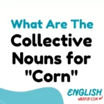 Collective Nouns for "Corn"