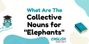 Collective Nouns for "Elephants"