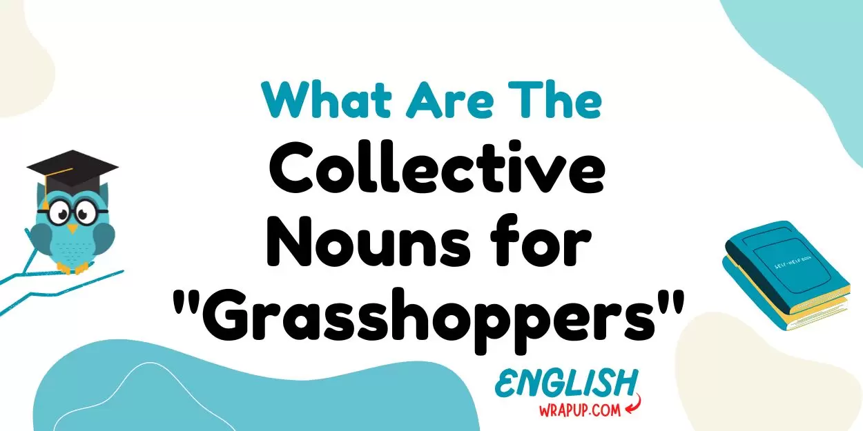 Collective Nouns for "Grasshoppers"