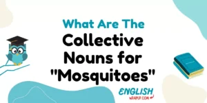 Collective Nouns for "Mosquitoes"