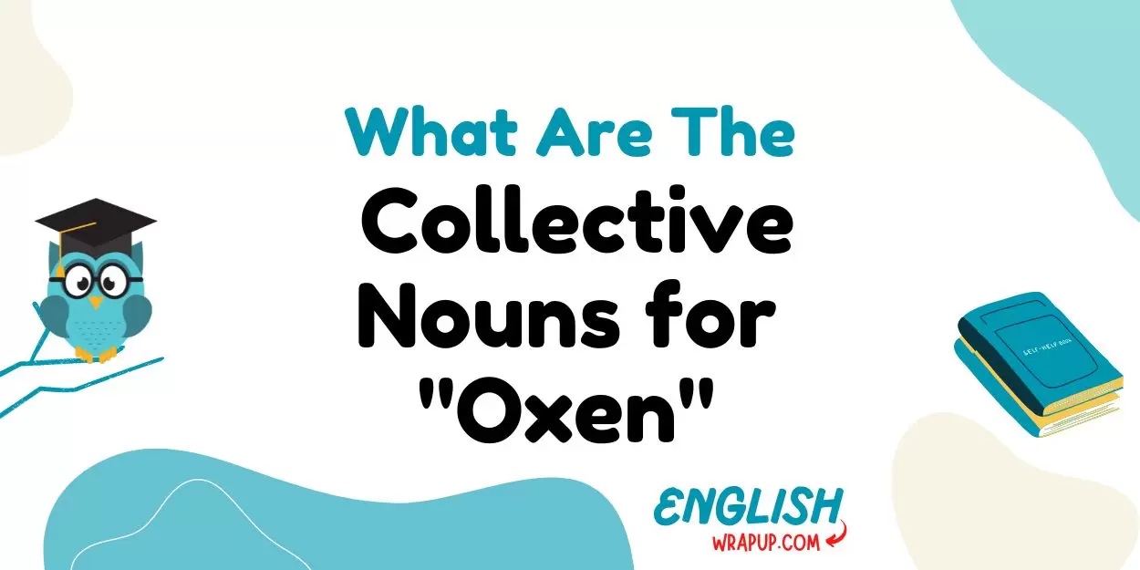 Collective Nouns for "Oxen"