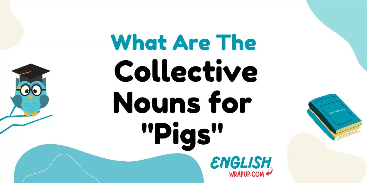 Collective Nouns for "Pigs"