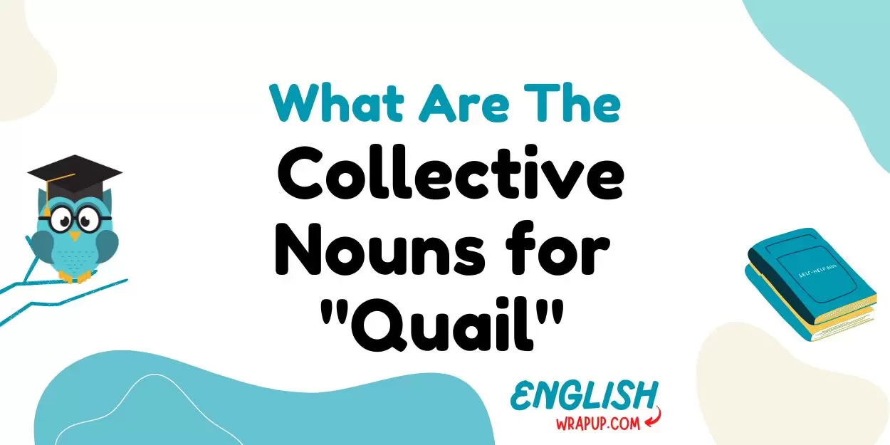 Collective Nouns for "Quail"