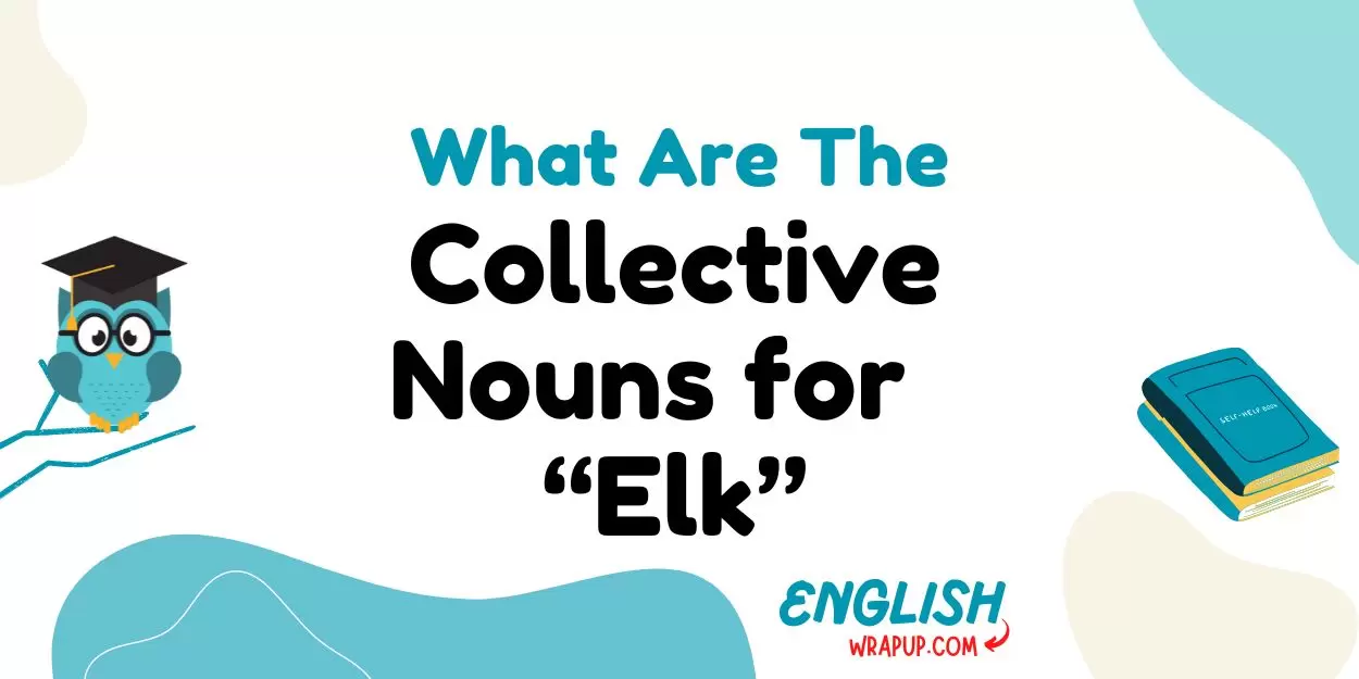 Nouns for Elk