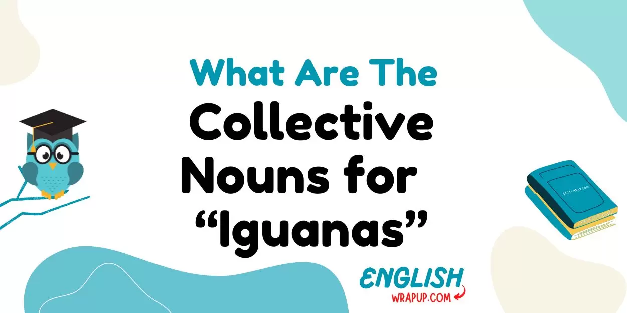 Nouns for Iguanas